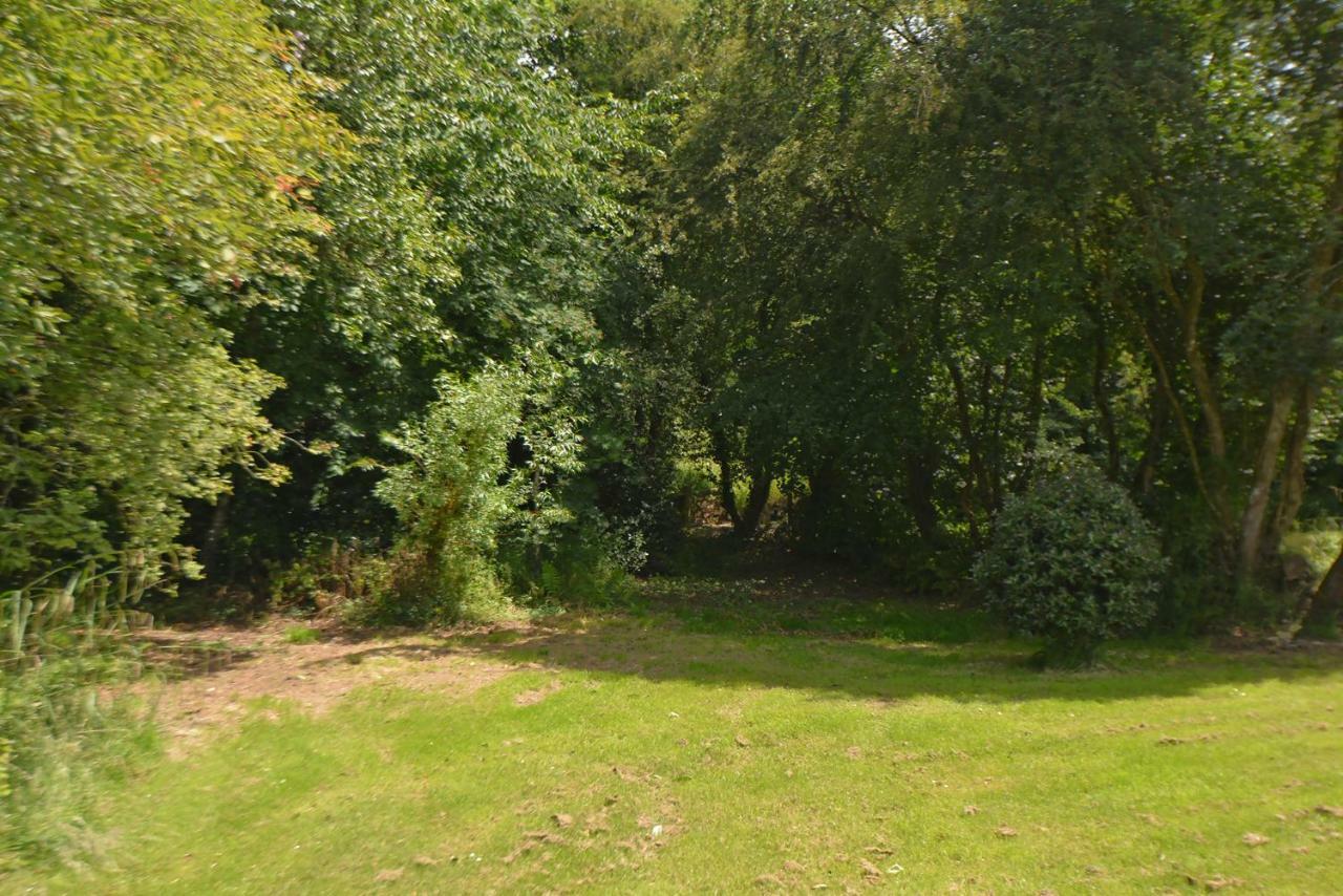Woodland Cottage South Molton Exteriör bild